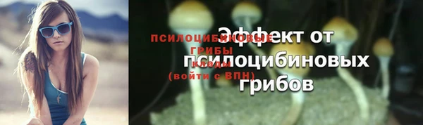 мяу мяу мука Алексеевка