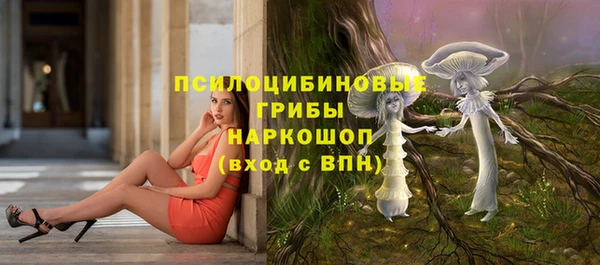 СК Алзамай