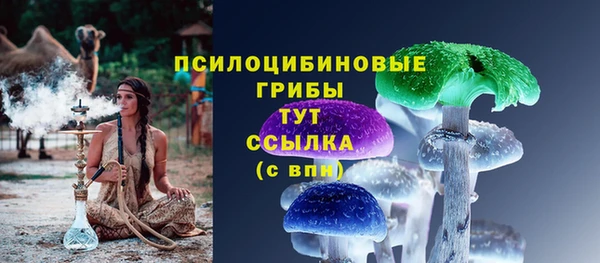 СК Алзамай